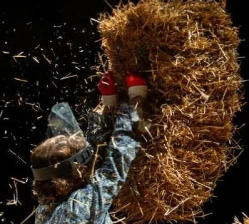 Spectacle : Le mariage forcé (Molière)