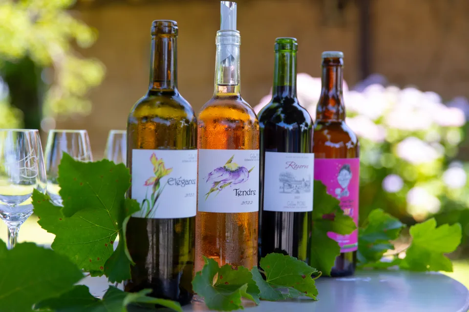 Domaine Lou Gaillot