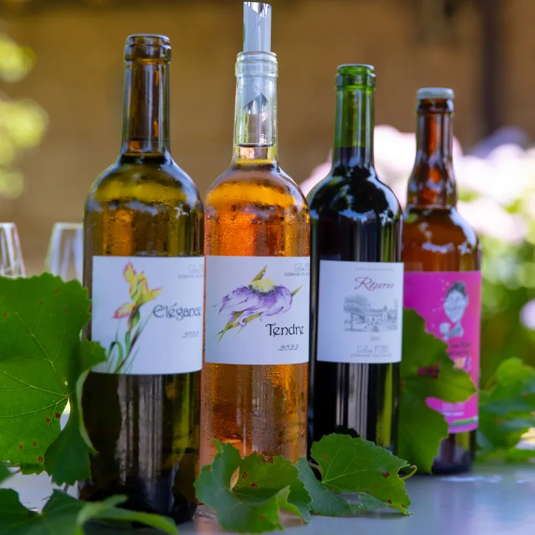 Domaine Lou Gaillot