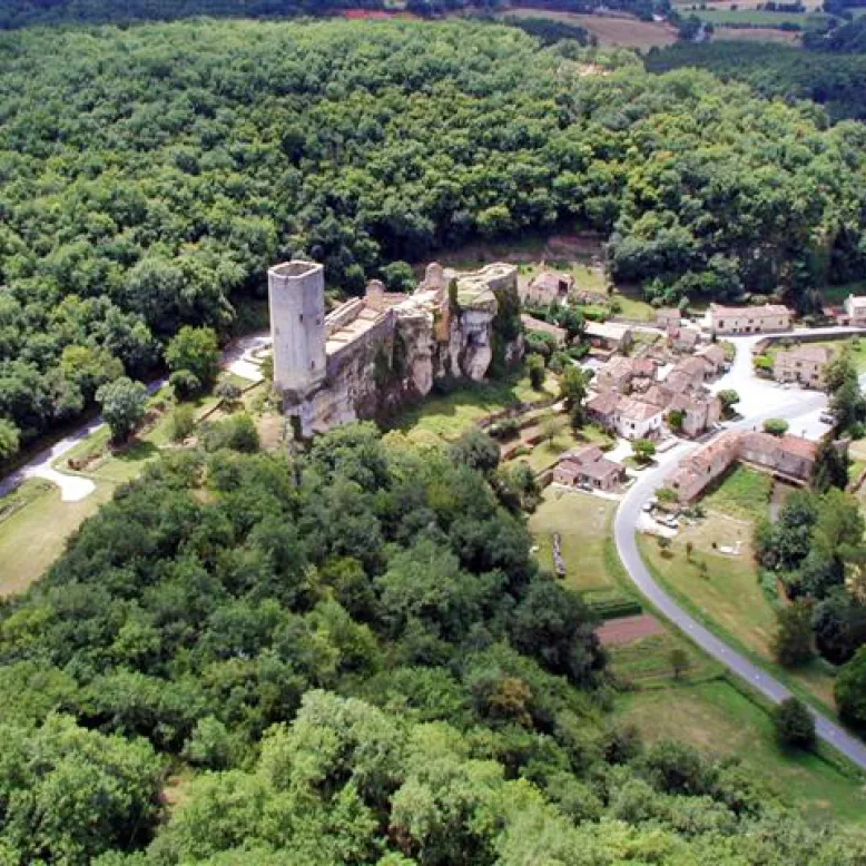 Castle of Gavaudun