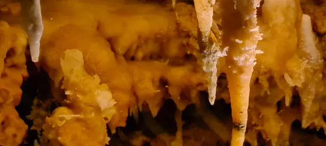 La Grotte de Fontirou