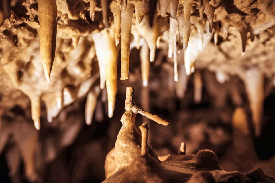Grottes de Fontirou