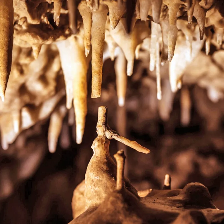 Grottes de Fontirou