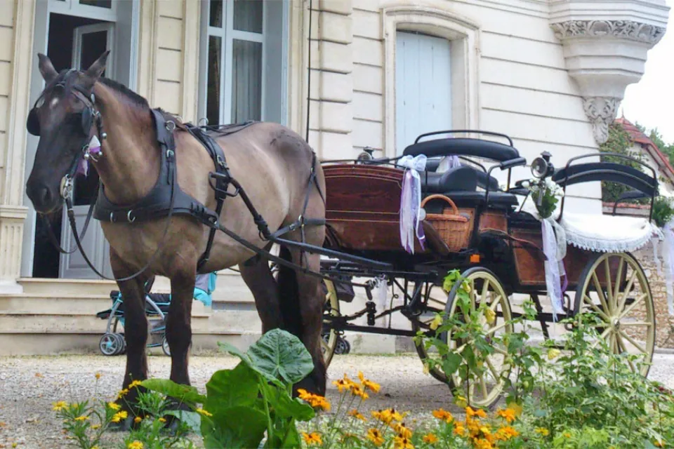 les Calèches d'Annika