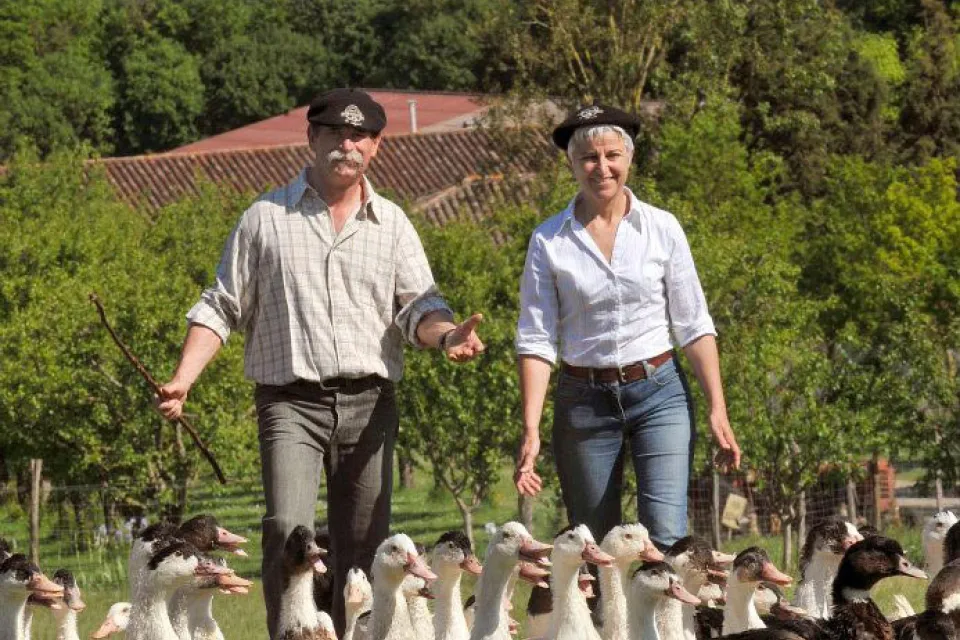 Musée du Foie Gras - Ferme de Souleilles