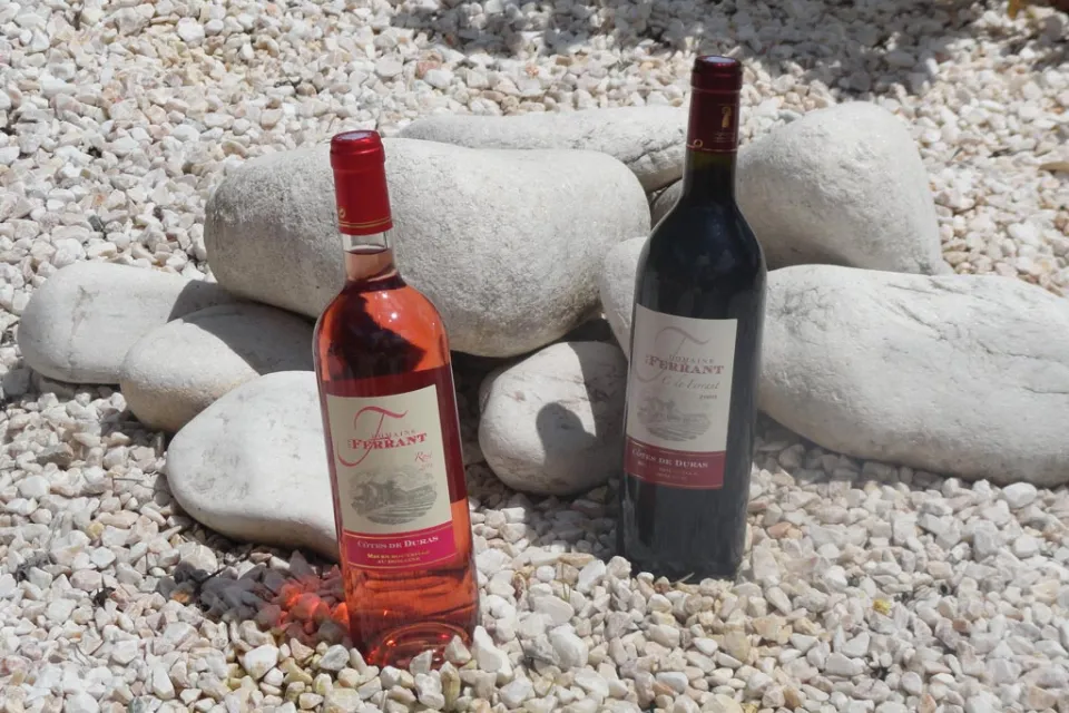 Domaine de Ferrant