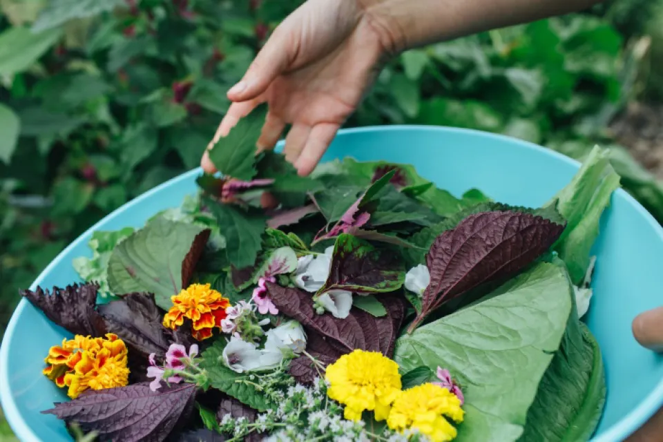 Simply Permaculture