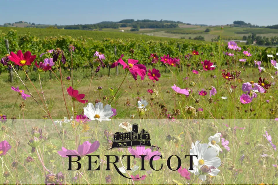 Berticot