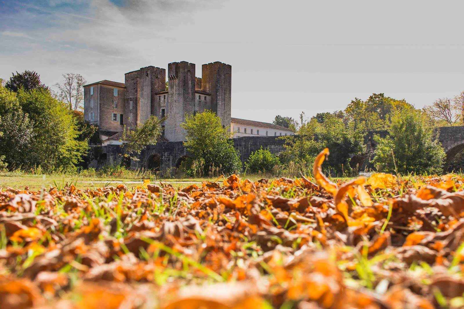 Office de Tourisme de l'Albret à Barbaste