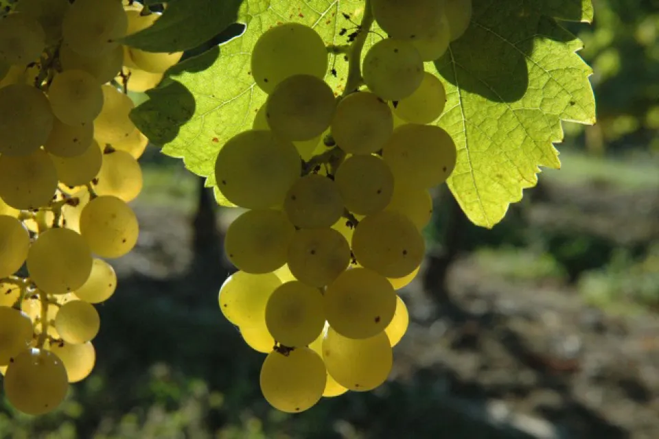 Domaine du Siorac