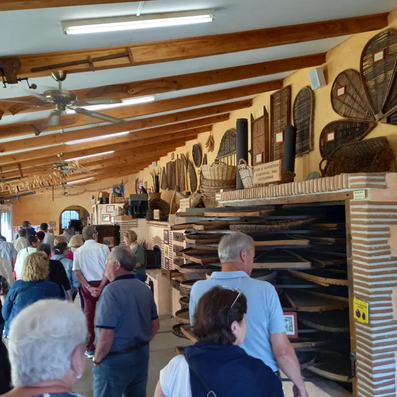 Prune Farm and Museum