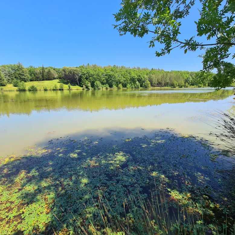 Lac du Saut du Loup