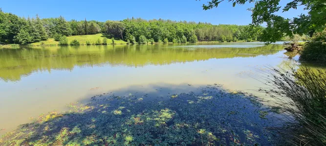 Lac du Saut du Loup