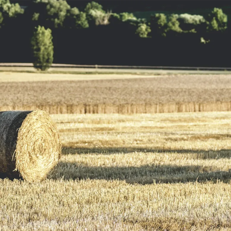 Plaines agricoles de Puymirol