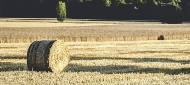 Plaines agricoles de Puymirol
