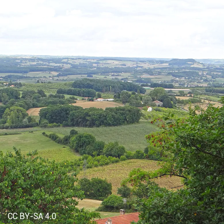Point de vue sur la campagne à Monségur