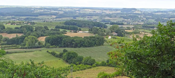 Point de vue sur la campagne à Monségur
