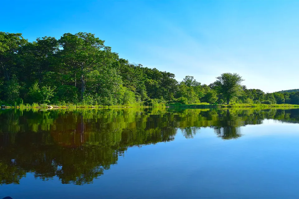 Domaine du lac de Neguenou