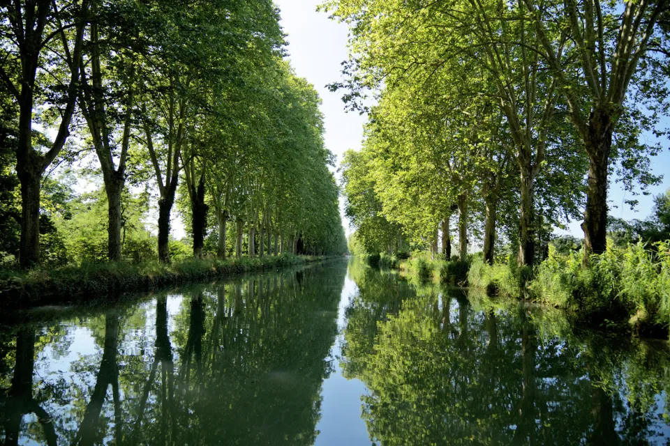 Prenez un bol d'air frais et laissez-vous guider...