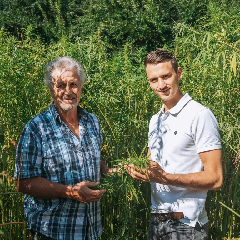 Le chanvre de mon père : CBD biologique 100% L ...
