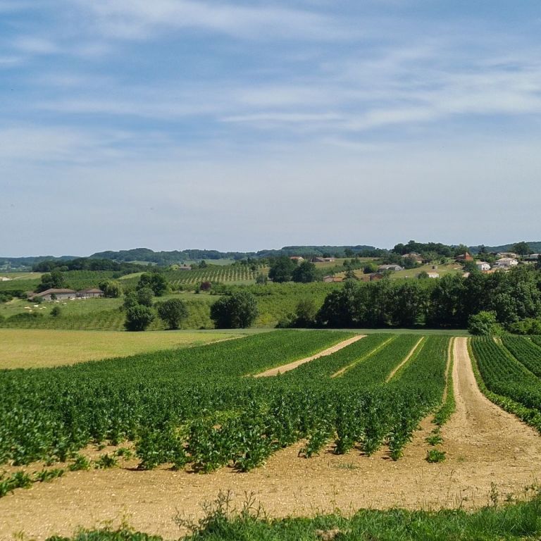 Que faire gratuitement dans le Lot-et-Garonne ?