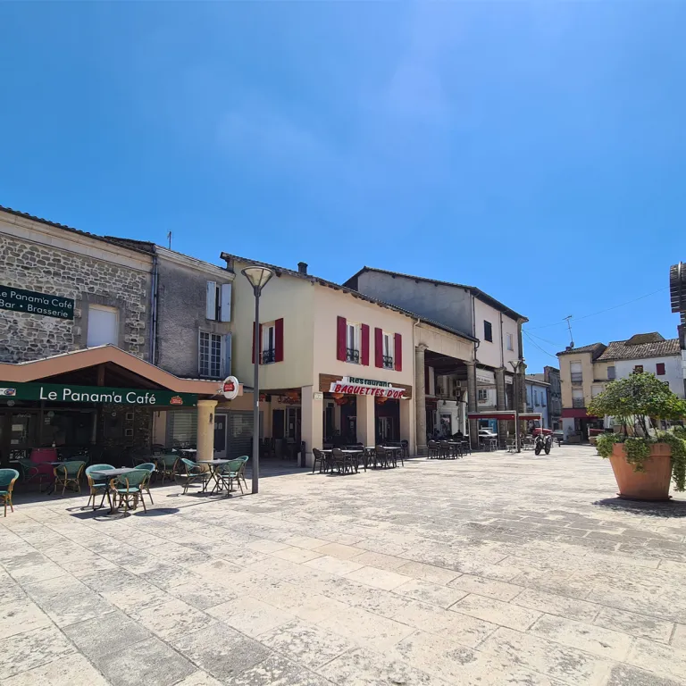 Visite de Miramont-de-Guyenne, balade entre vi ...