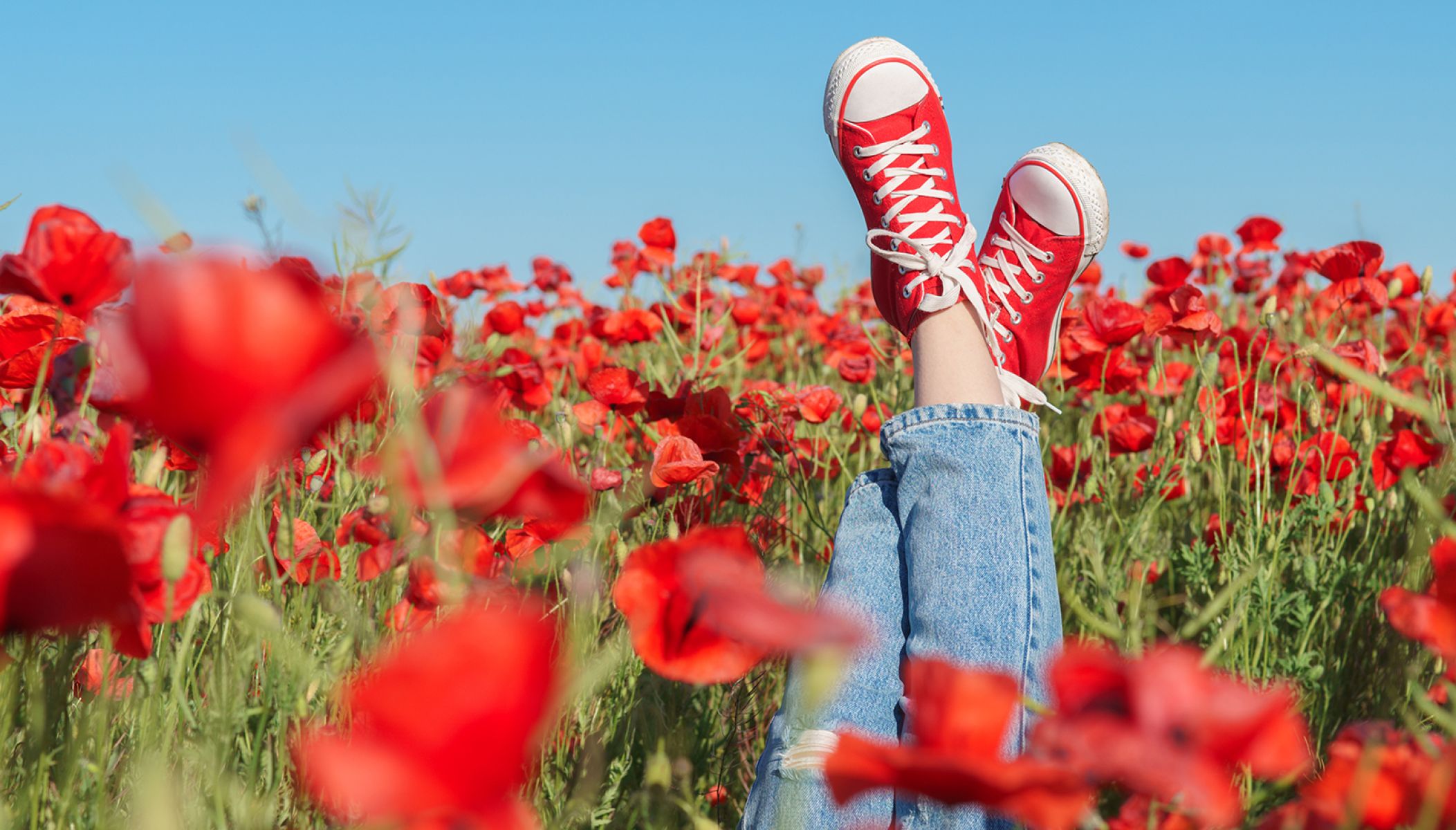 C'est le printemps : Où voir les premiers bourgeons ?