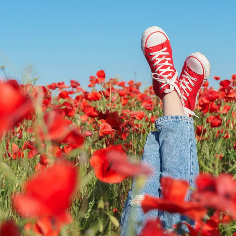 C'est le printemps : Où voir les premiers bour ...