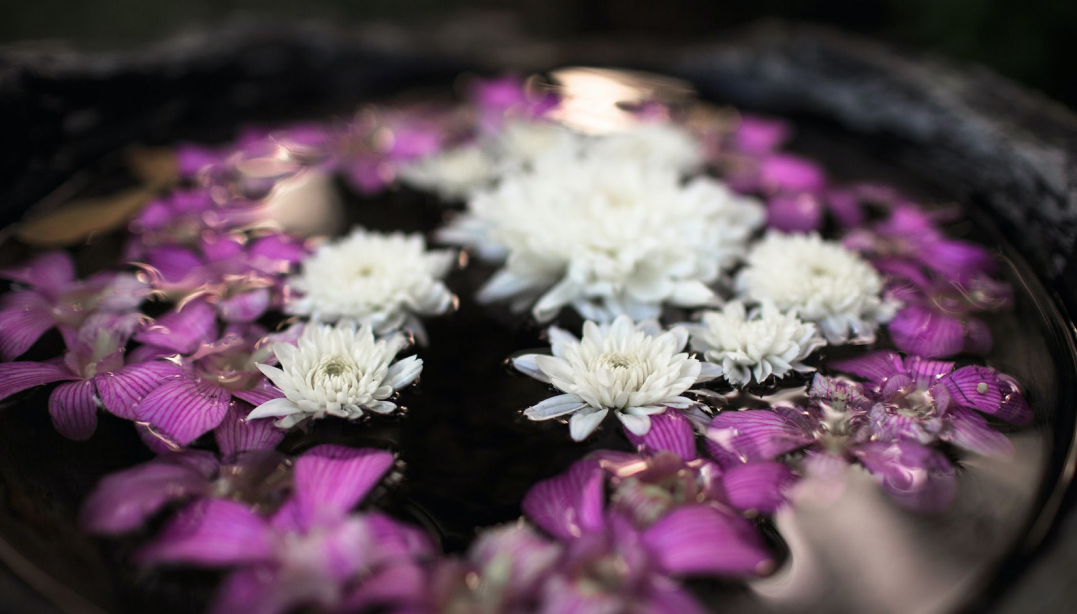 Relaxation and well-being areas in Lot-et-Garonne: Thermal baths, spas, hammam and jacuzzis ...