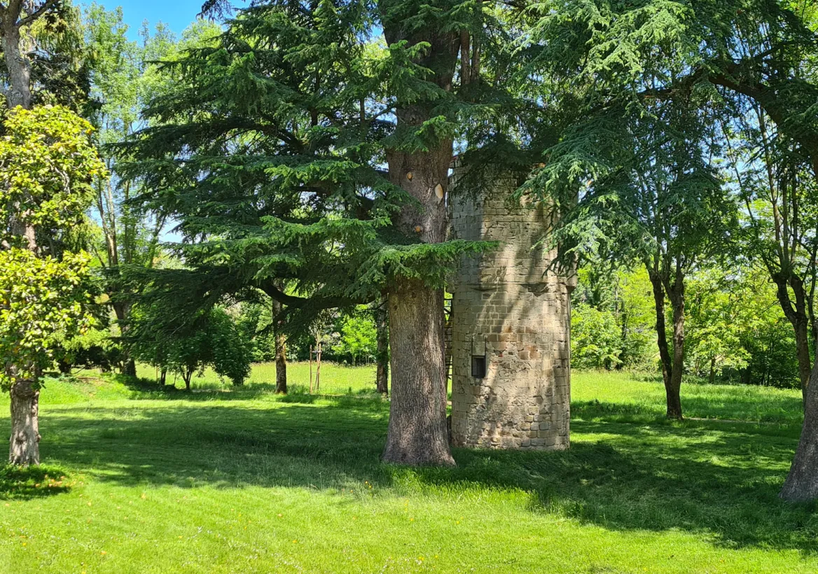 Allemans-du-Dropt château