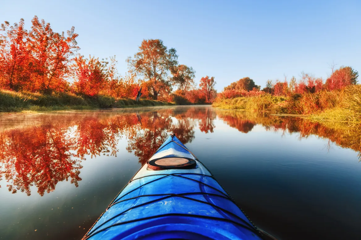 Photo: AdobeStockFeel good studio