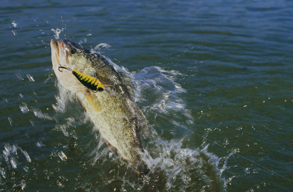 fishing in Lot and Garonne
