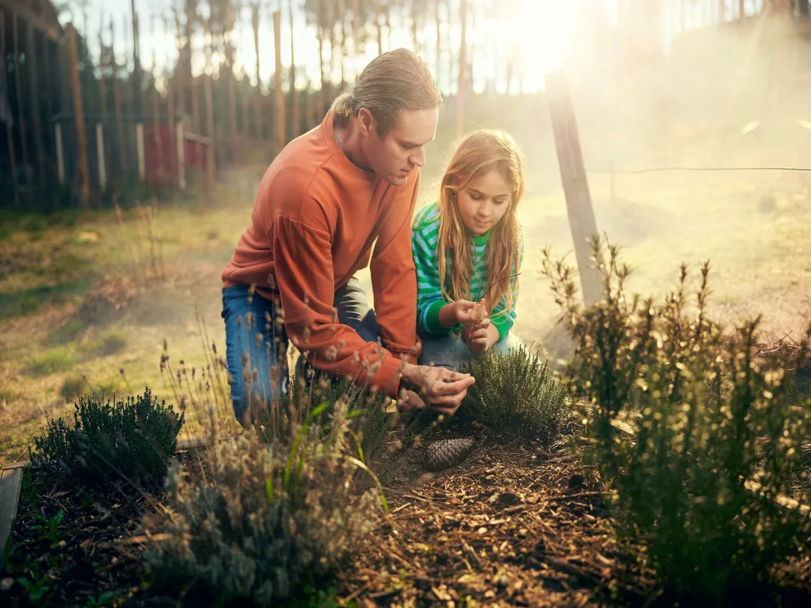 Jardin Potager Center Parcs