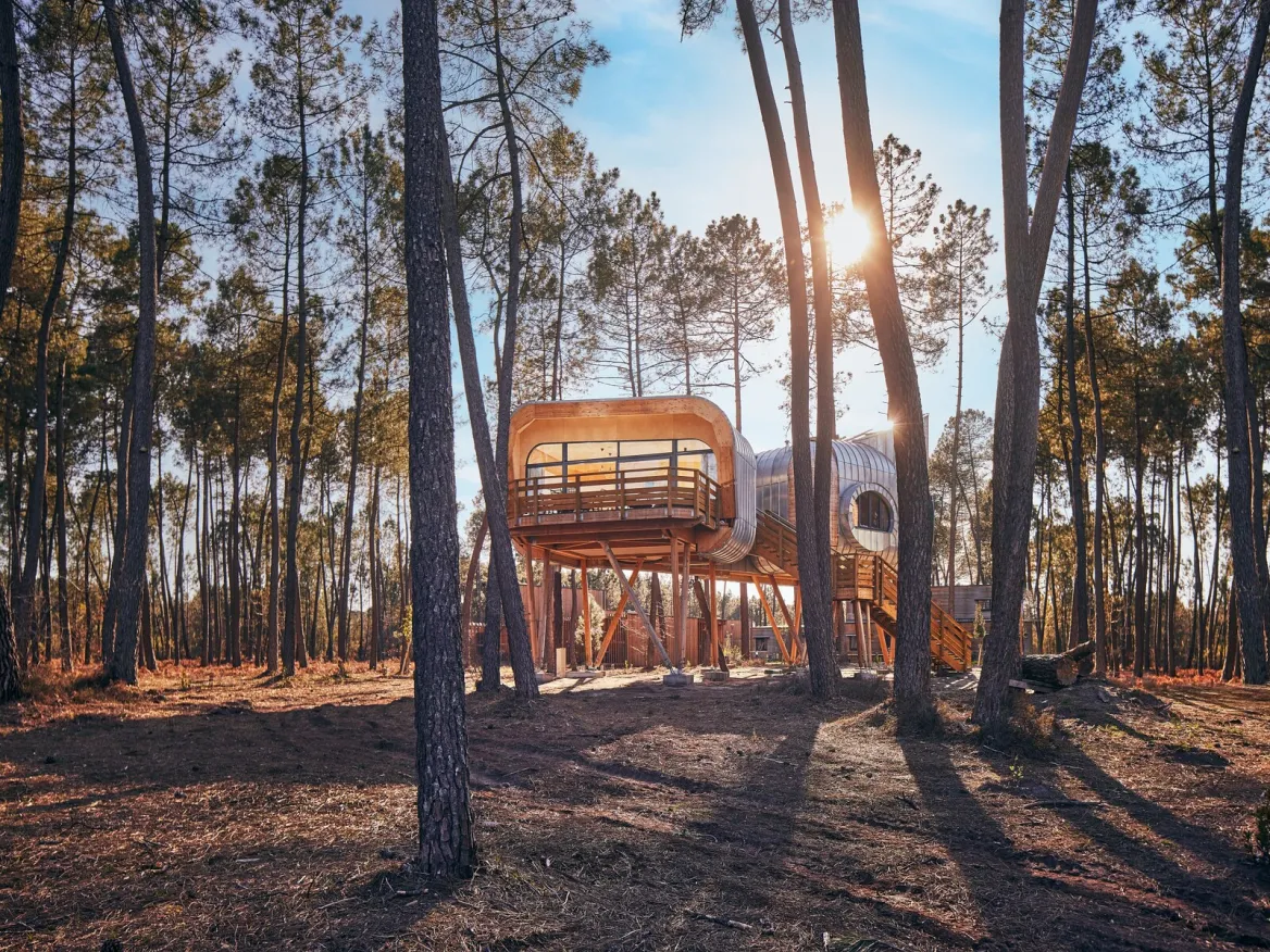 Maison dans les arbres