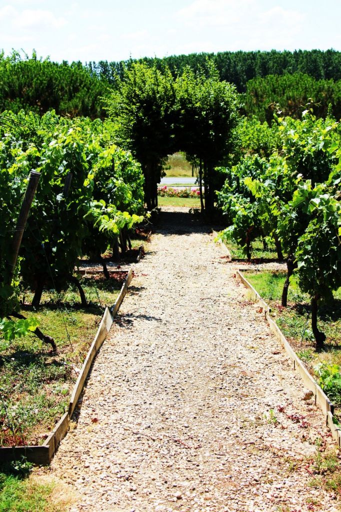 La maison des vins de Duras