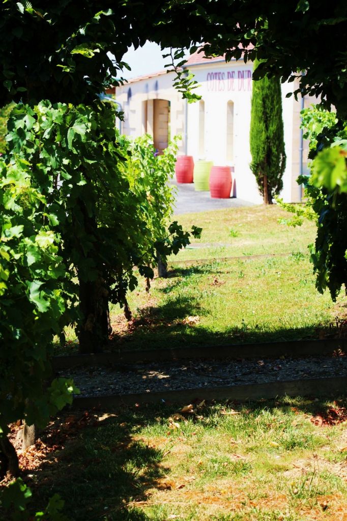 La maison des vins de Duras