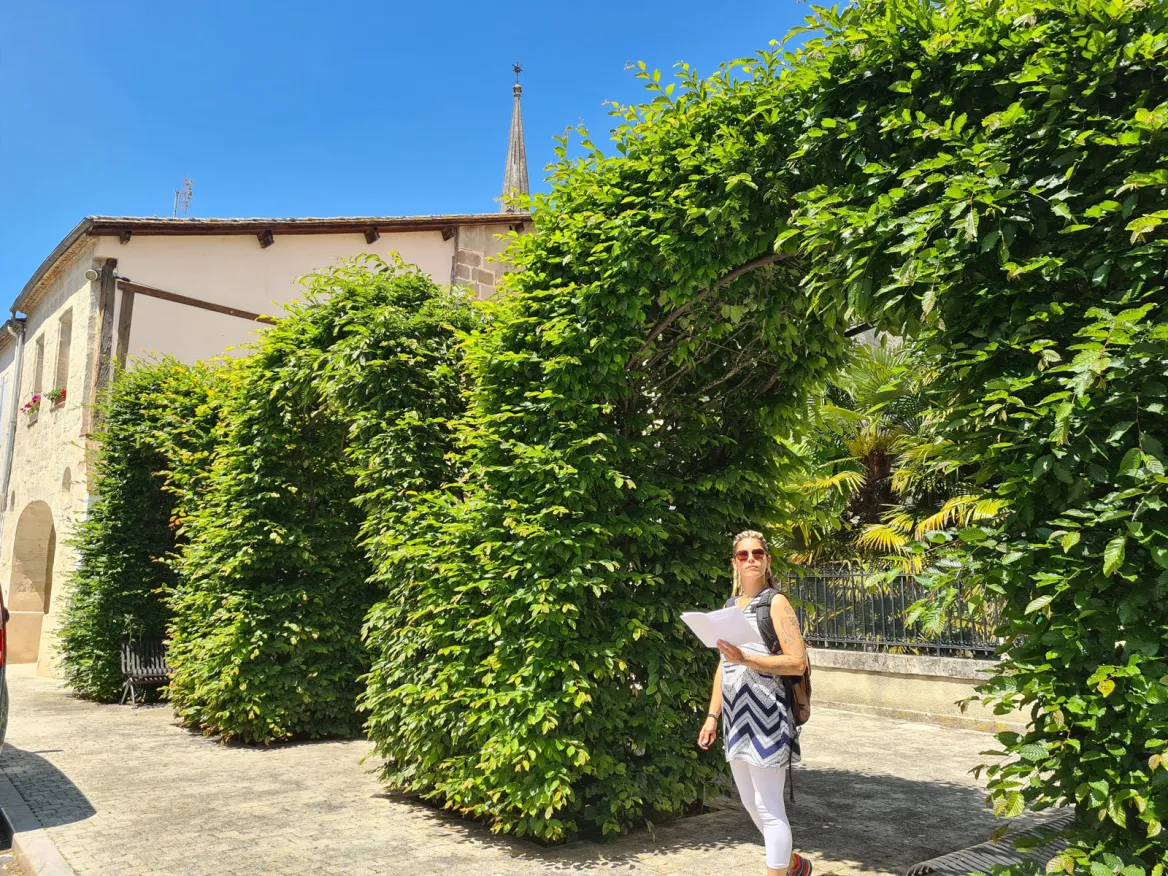 Plant arches