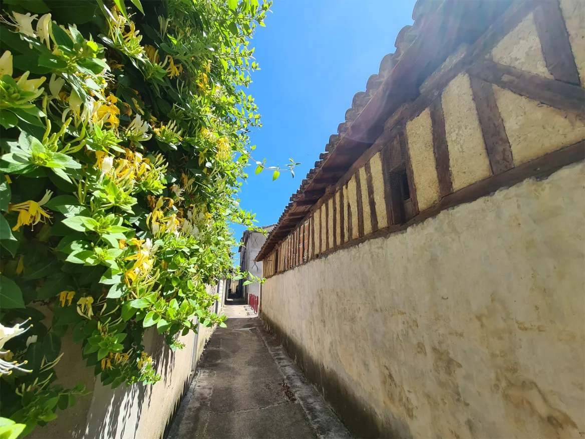 Kroumir Alley