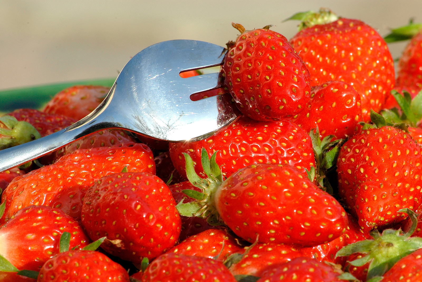 Fraises
