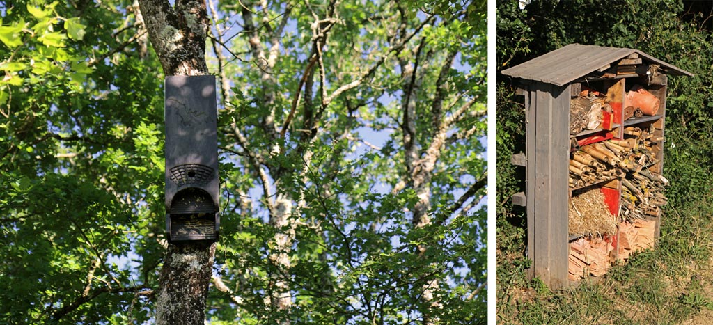Les nichoirs à chauves-souris et les hôtels à insectes