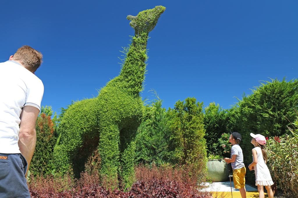 La girafe en buis !