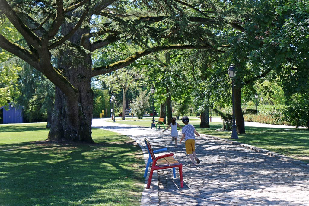 Le parc arboré