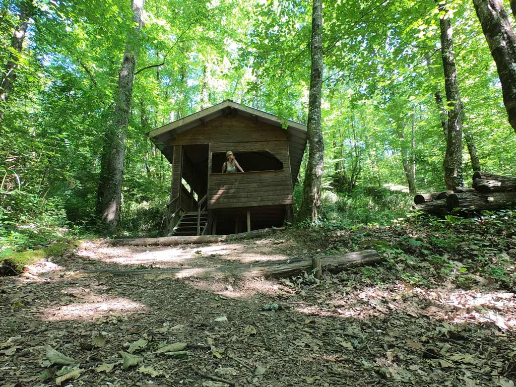 Cabane aux indices