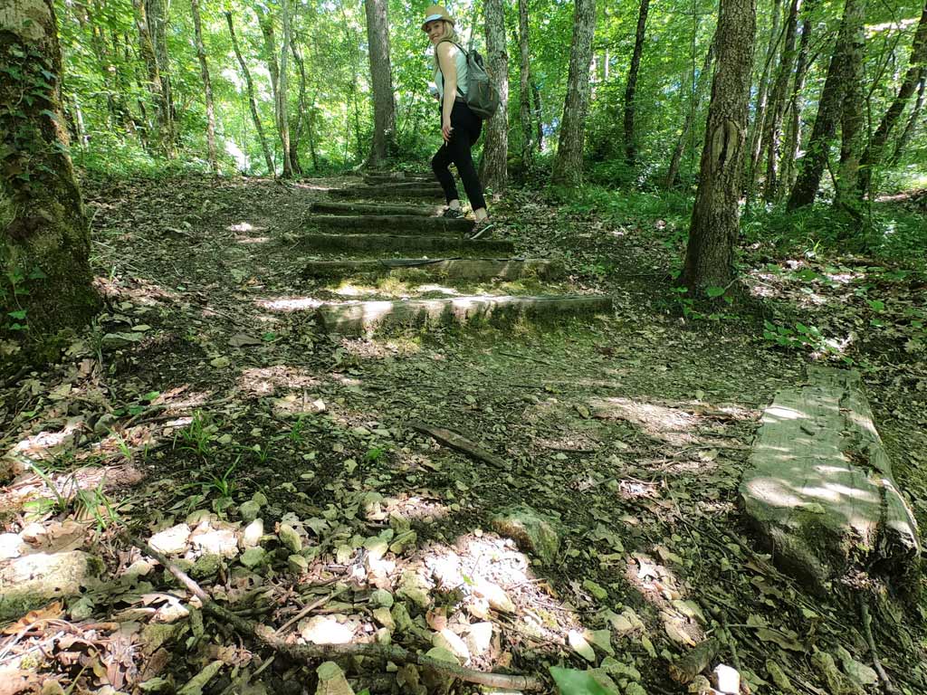 Sentier dans la forêt