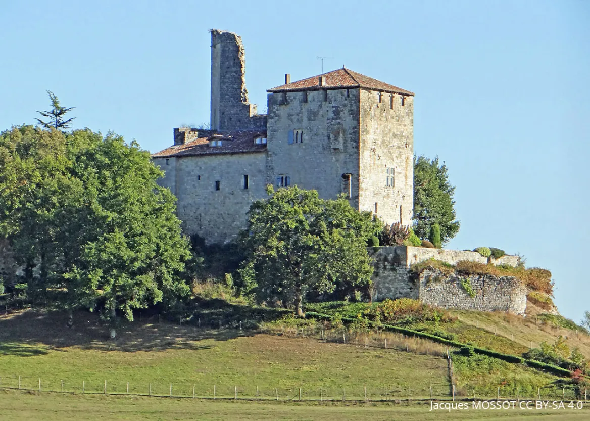 Chateau de Madaillan