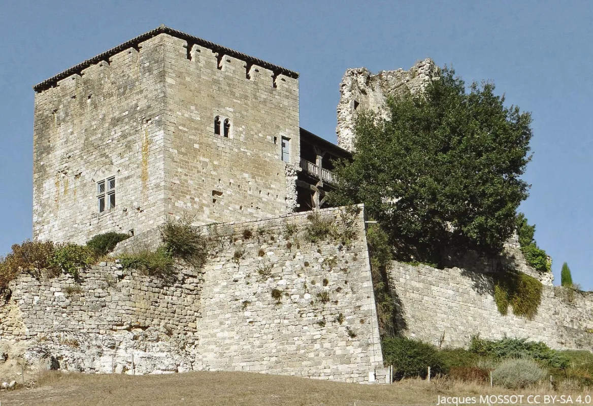Chateau de Madaillan