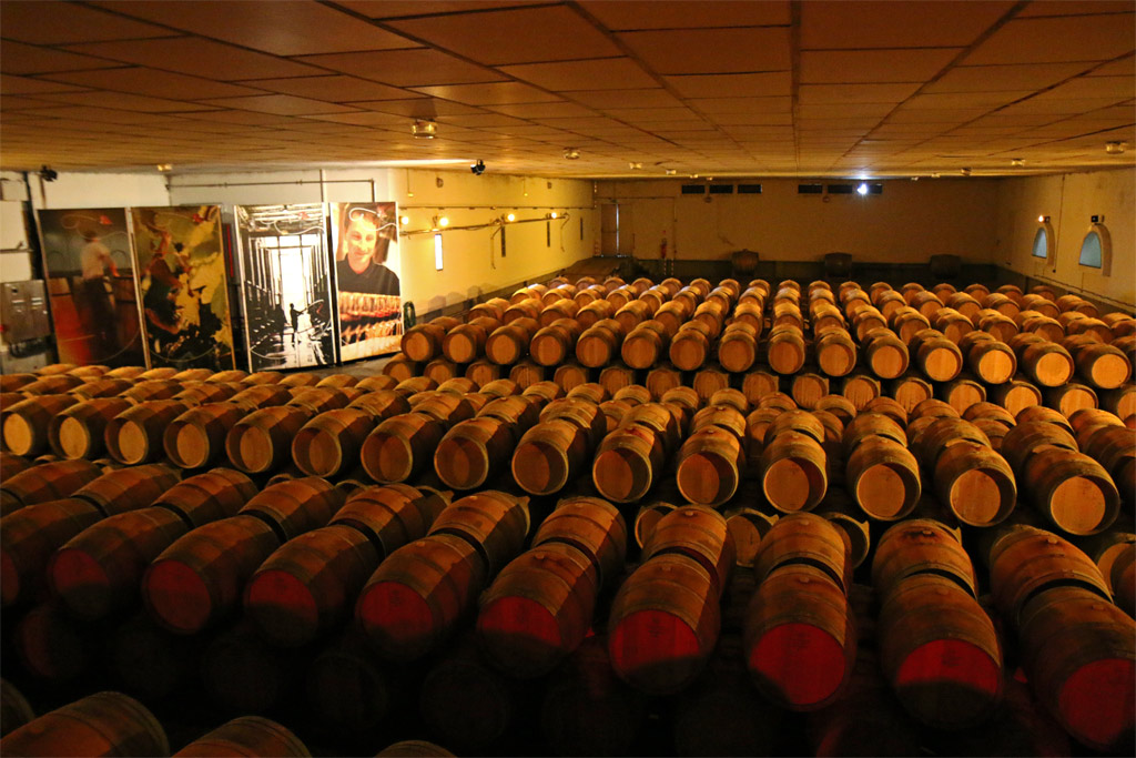 Visit of the winery, the Vignerons de Buzet
