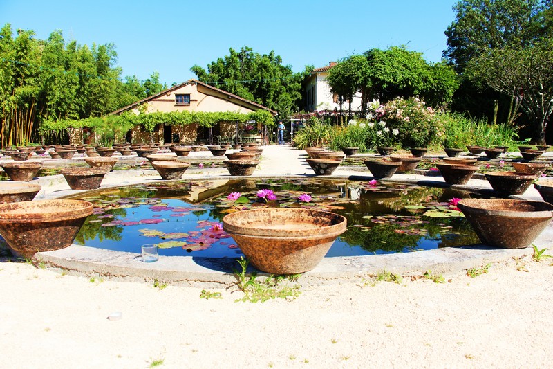 Le jardin des nénuphars Latour-Marliac