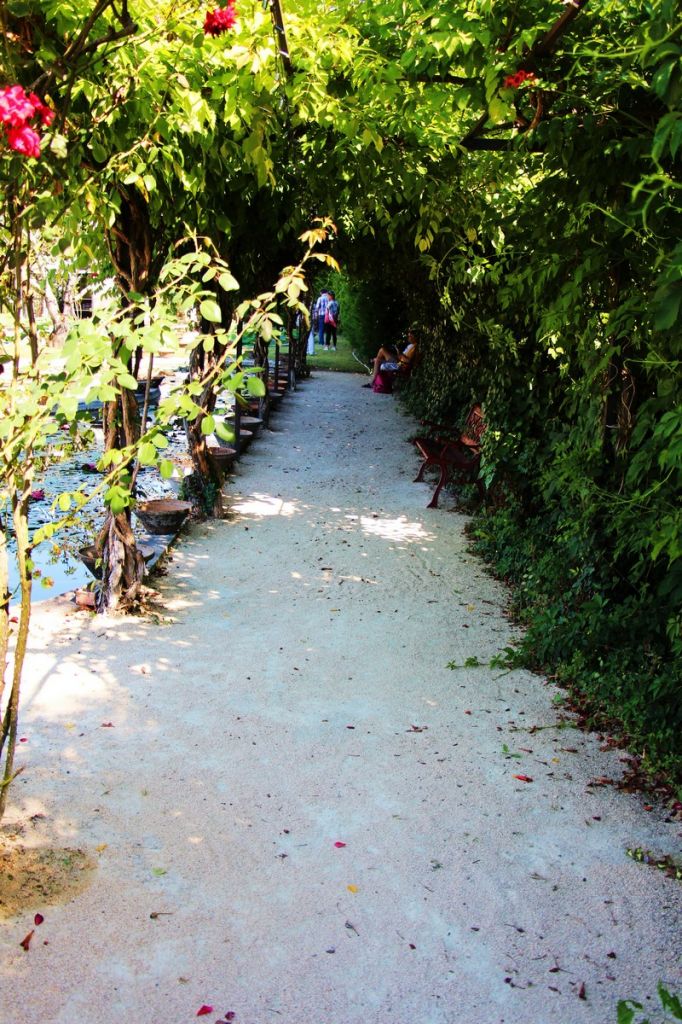 Le jardin des nénuphars Latour-Marliac
