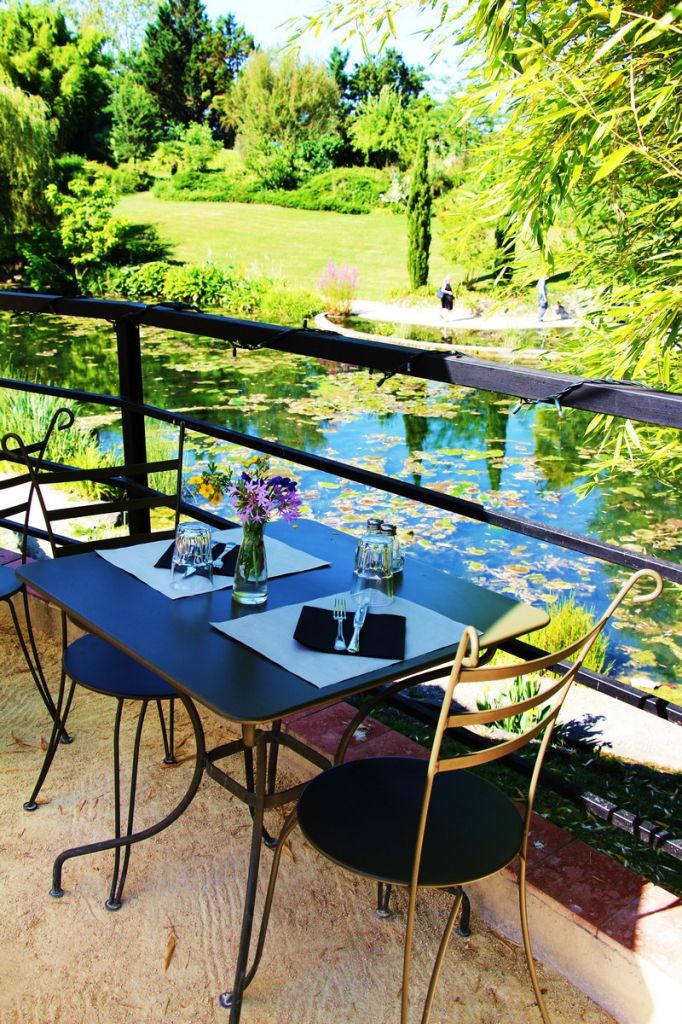 Le jardin des nénuphars Latour-Marliac